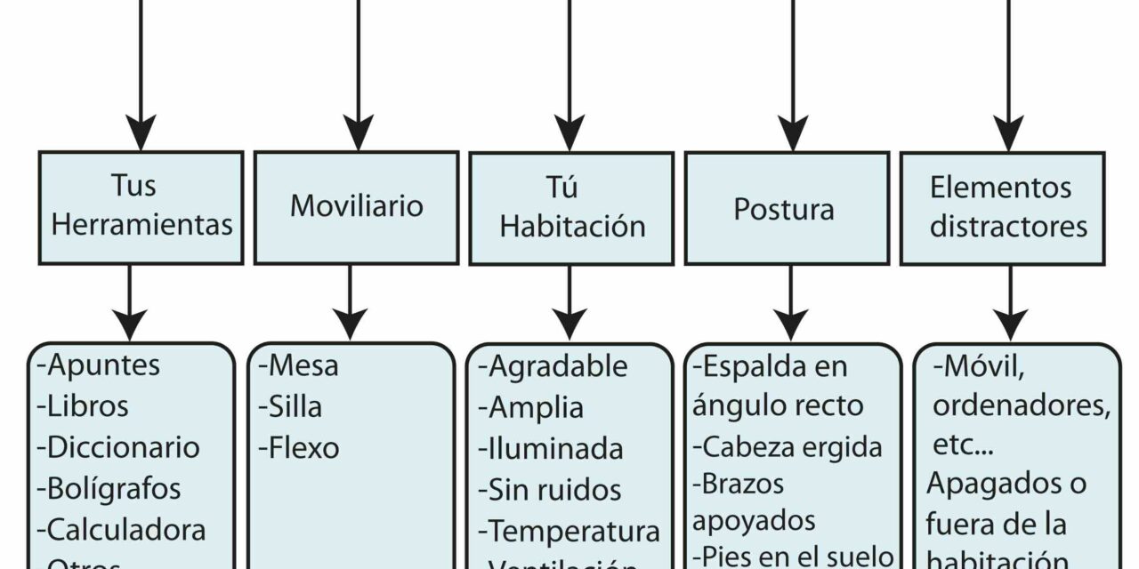 El material y el ambiente para el estudio
